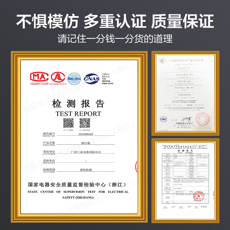 象好（Ashoo） 榨汁机商用 多功能渣汁分离大口径炸果汁机全自动鲜榨水果大型 家用养生果汁机原汁机 SH-869E榨汁机