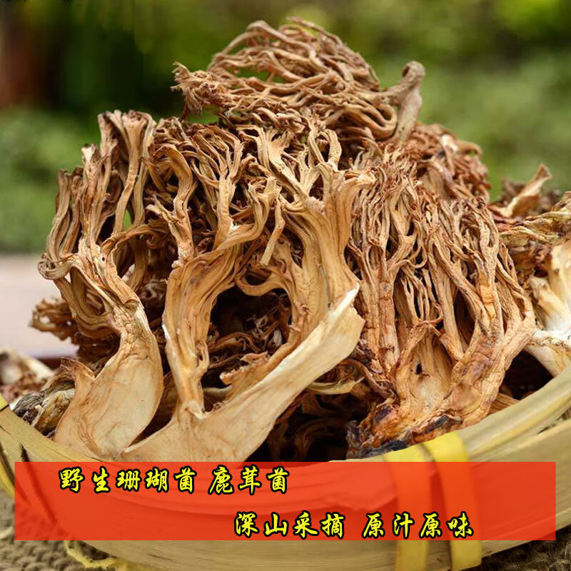 野生菌干货250g深山特产鹿茸菌扫把菇特色菌菇煲汤食材