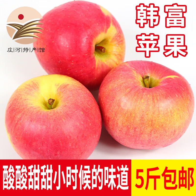 [庄河特产馆] 辽宁斗南苹果寒富苹果大型果非红富士苹果 东北水果.