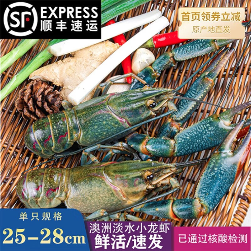 虾类历史价格插件|虾类价格走势