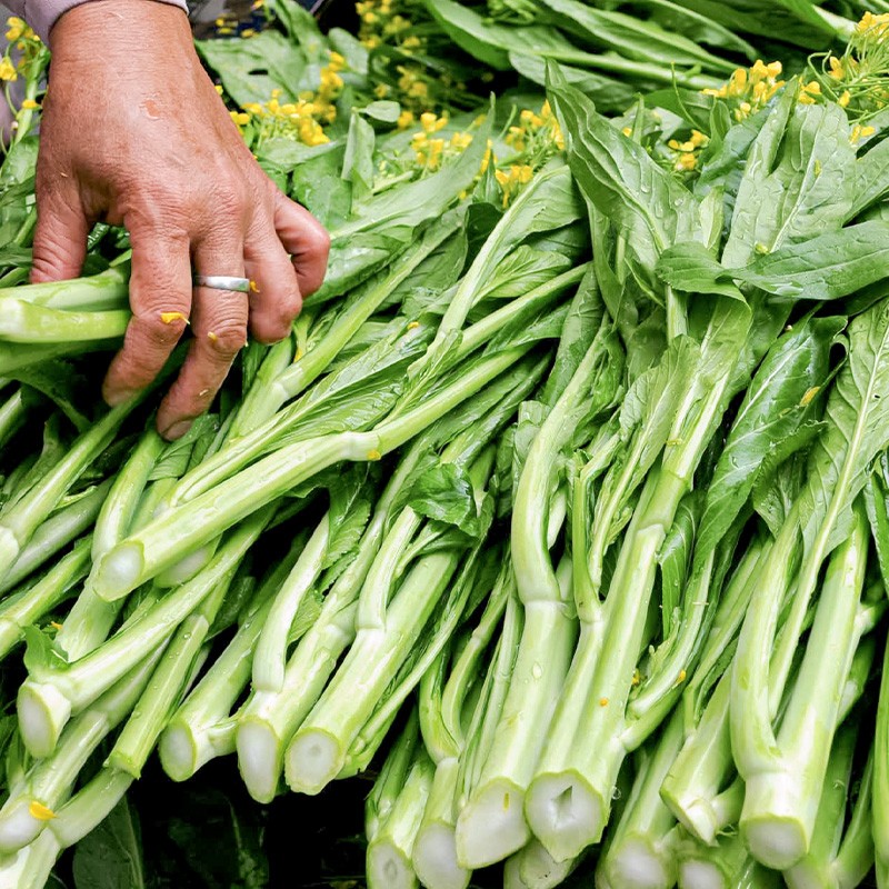 寿禾 快菜种子青菜菜子高产青梗菜长叶菜小白菜家庭种植耐热靓绿奶油