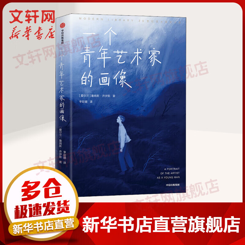 一个青年艺术家的画像 图书