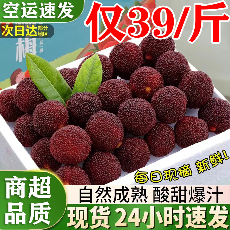 看杨梅价格涨跌软件|杨梅价格走势图