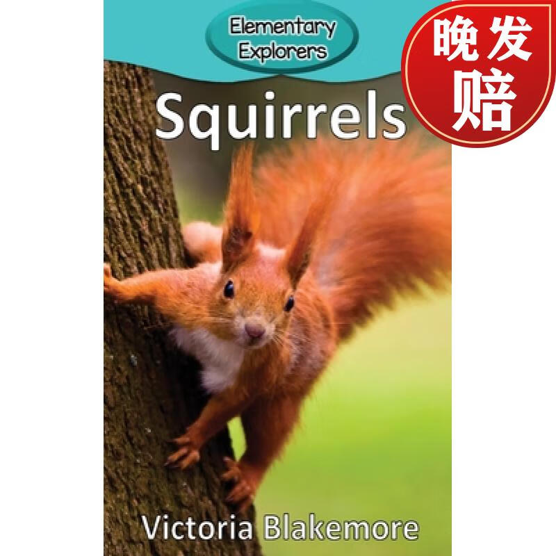 【4周达】squirrels