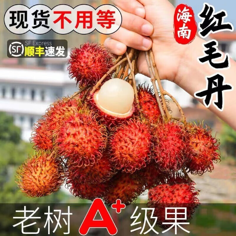 甘贤（GANXIAN）海南红毛丹【顺丰空运】当季新鲜精选水果 爆甜果毛荔枝 3斤 精美礼盒装怎么样,好用不?
