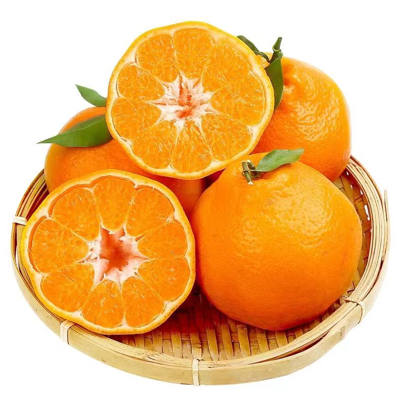 鲜享欢鲜配坊四川春见爆汁耙耙柑 新鲜应季特级大果 丑橘爆汁 年货
