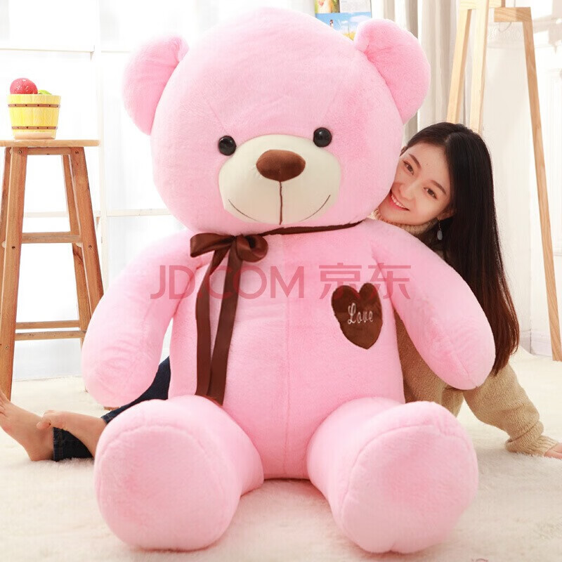 公主熊毛绒玩具泰迪熊公仔抱抱熊大号熊猫公仔布娃娃女孩生日礼物送女友情人节粉红色 1米