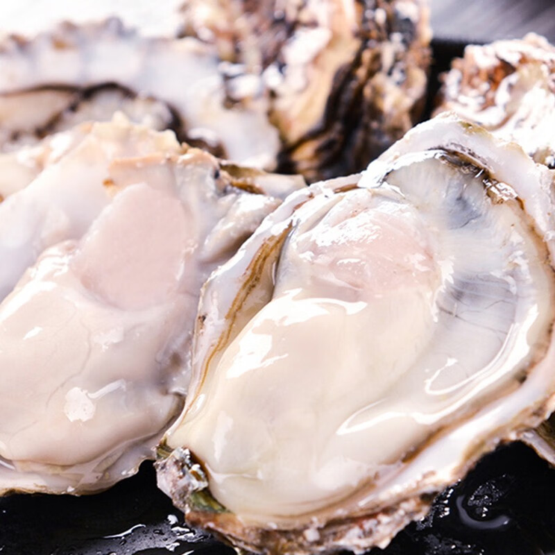 尚淘 鲜活大生蚝 大号净重4斤一箱 新鲜三倍体牡蛎 清蒸烧烤 生蚝4斤