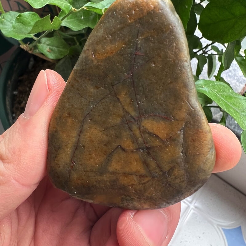 福建寿山乌鸦皮田黄石寿山田品种田寿山田原石