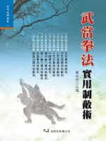 预售 贺春林 武当拳法实用制敌术 大展