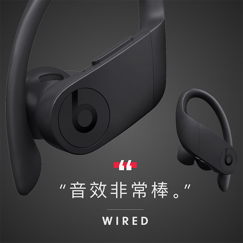 Beats Powerbeats Pro 完全无线高性能耳机 真无线蓝牙运动耳机 黑色