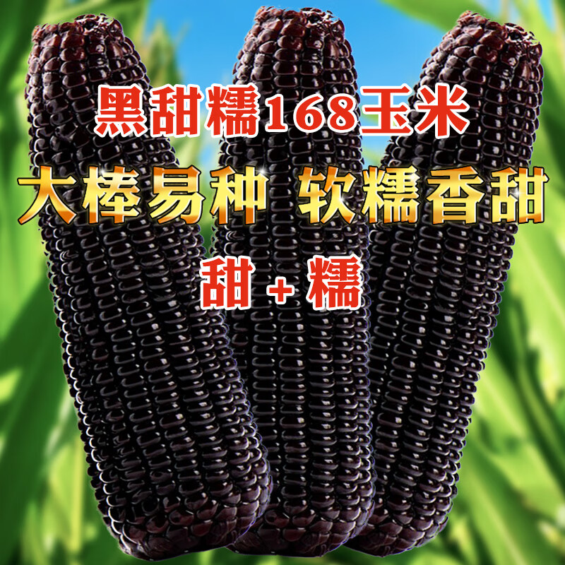 蔬菜种子种苗价格走势图分析|蔬菜种子种苗价格历史