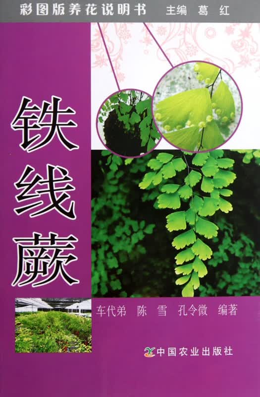 铁线蕨/彩图版养花说明书