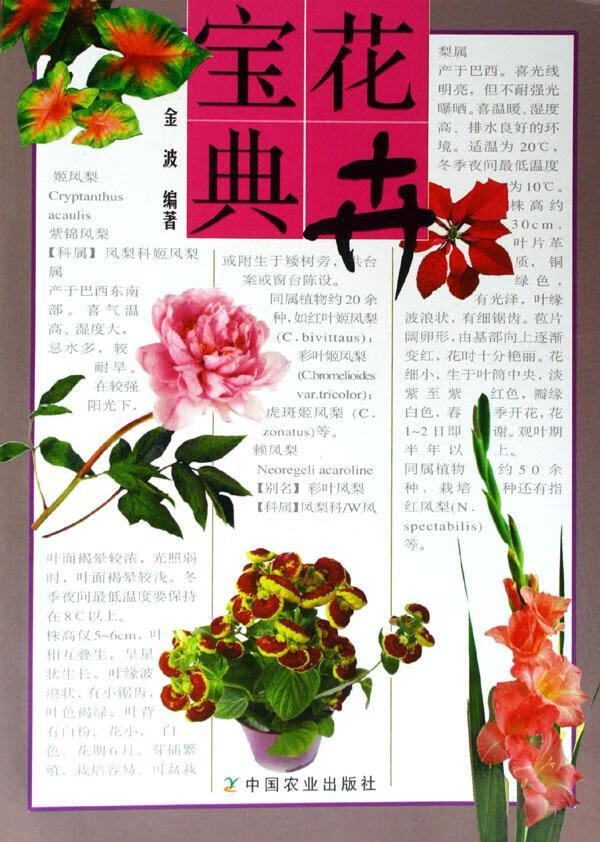 花卉宝典 金波 农业/林业 9787109104181