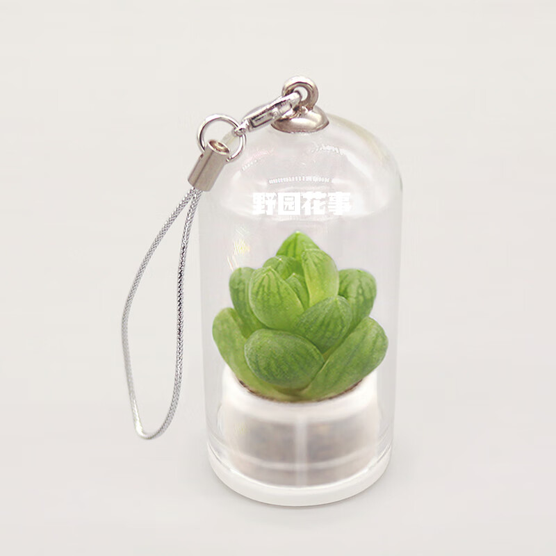 活植物随身多肉学生钥匙扣迷你盆栽挂件桌面微景观生态瓶创意礼品 玉露 玻璃瓶