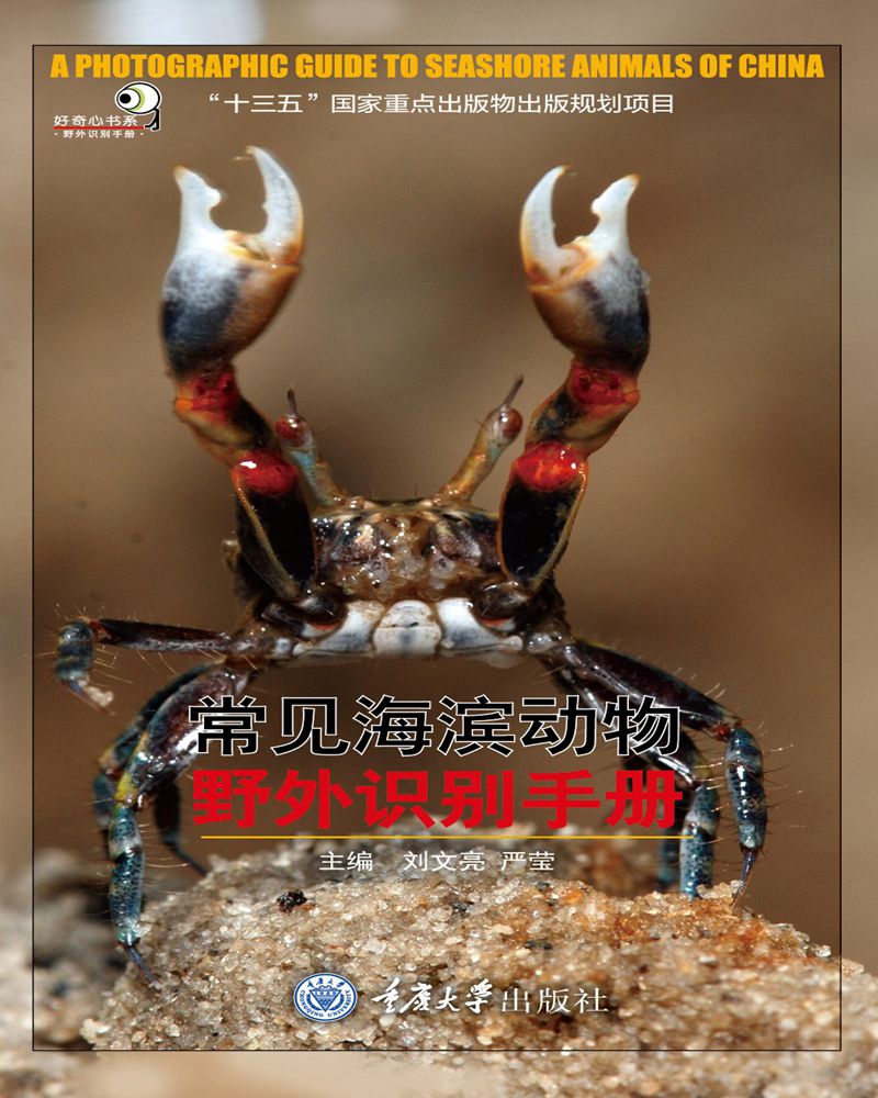 常见海滨动物野外识别手册
