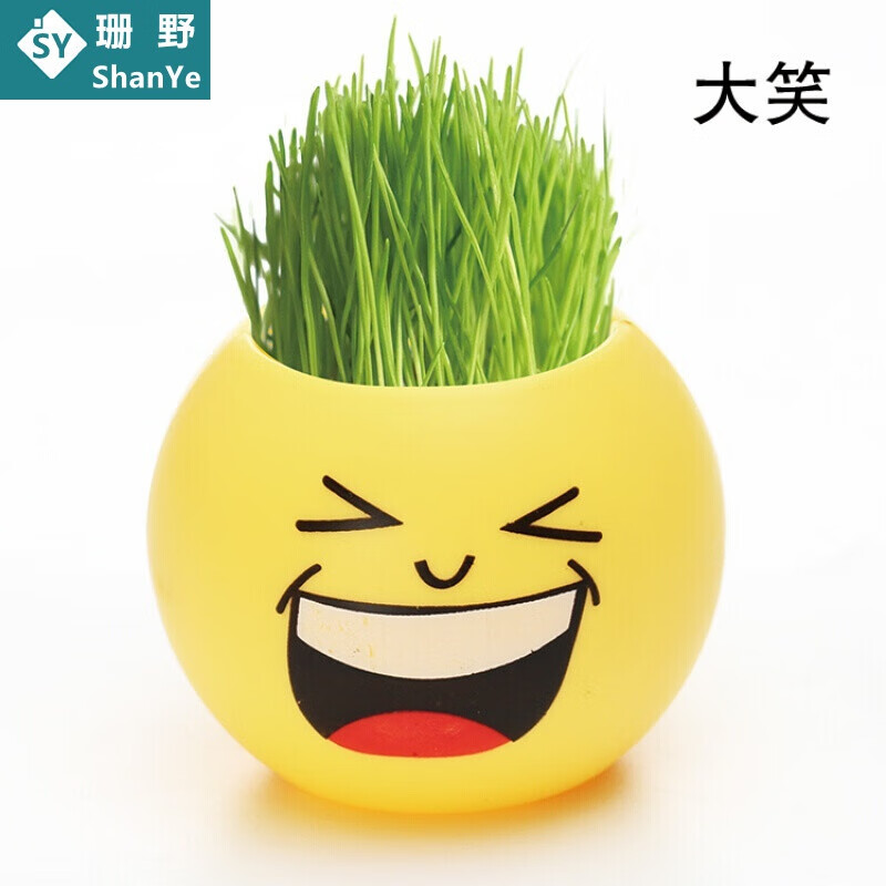 室內(nèi)迷你負(fù)離子小盆栽綠植物帶種子小草桌面水培學(xué)生開學(xué)獎品 大笑盆栽1個 塑料盆 含盆