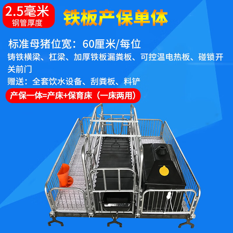 母猪定位栏限位栏 小猪仔猪保育床 养猪养殖设备 中泰农牧 2