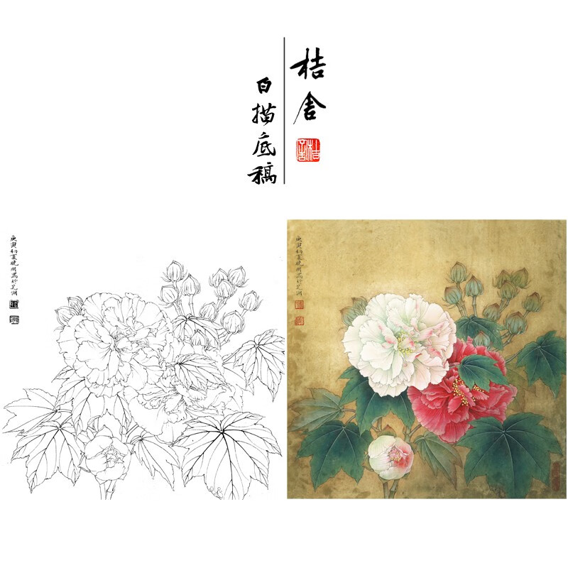 桔舍李晓明工笔画白描底稿芙蓉花方形小品原大44×44厘米花鸟线稿带a3