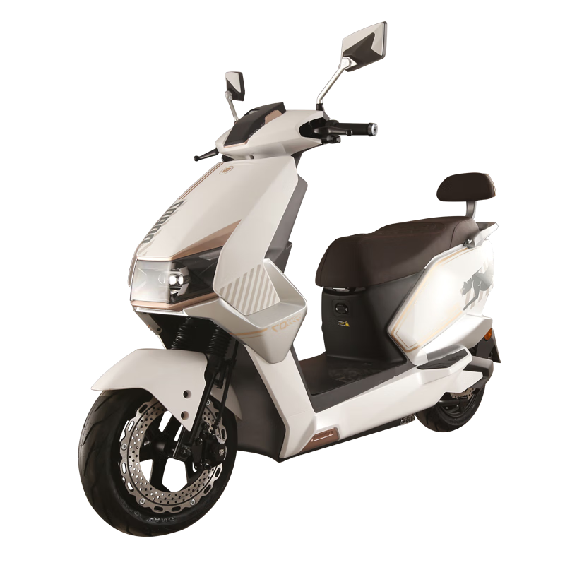 �����걪 ���ǰ�(����)/����۽�