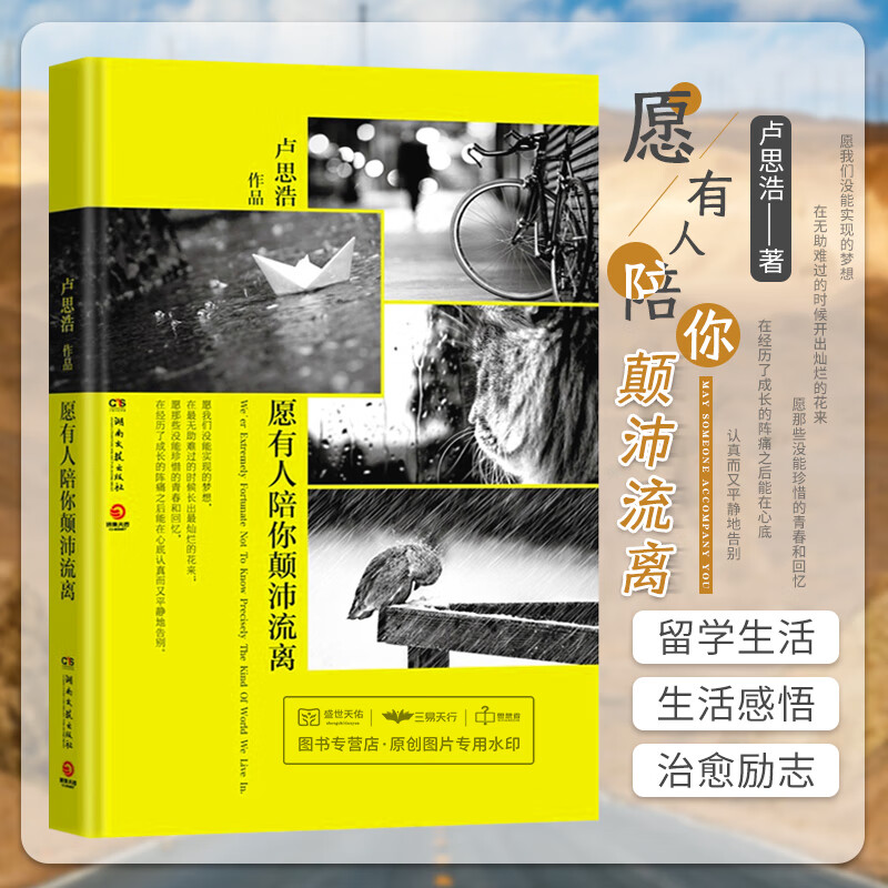 卢思浩 著 湖南文艺出版社9787540467883迎接未来告别过去变成自己