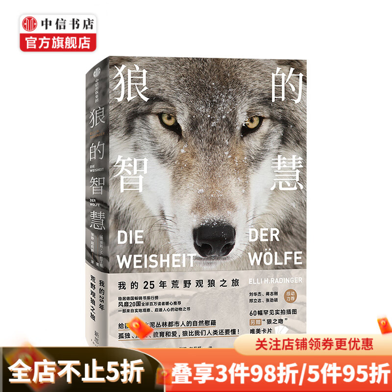 【樊登推荐】狼的智慧 我的25年荒野观狼之旅 埃莉H拉丁格著 领导力 狼的百科 中信书店