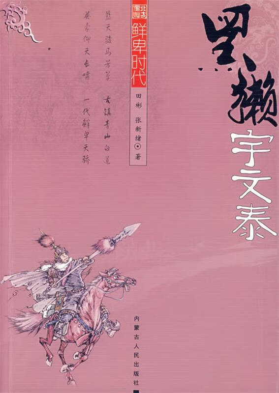 黑獭-宇文泰【正版图书,放心购买】