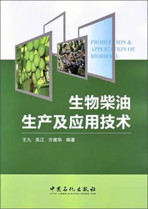 生物柴油生产及应用技术【正版特惠】