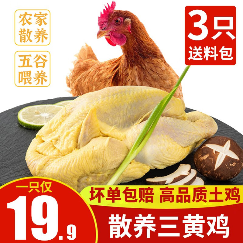 岽鲜 农家散养土鸡 三黄鸡 新鲜整只走地鸡柴鸡 鸡肉生鲜 2.