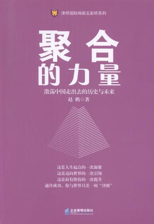 聚合的力量-游荡中国走出去的历史与未来 外语学习 赵鹏著 企业管理出版社 9787516411346