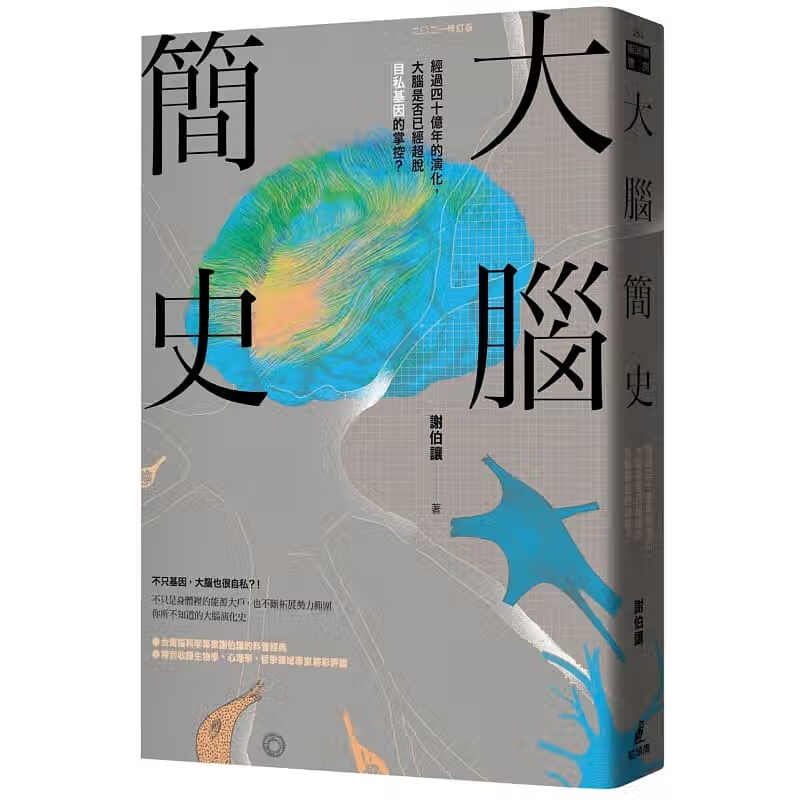 现货台版 大脑简史 猫头鹰 谢伯让 了解大脑从何而来又将走向怎麽样的未来科普百科科学类书籍