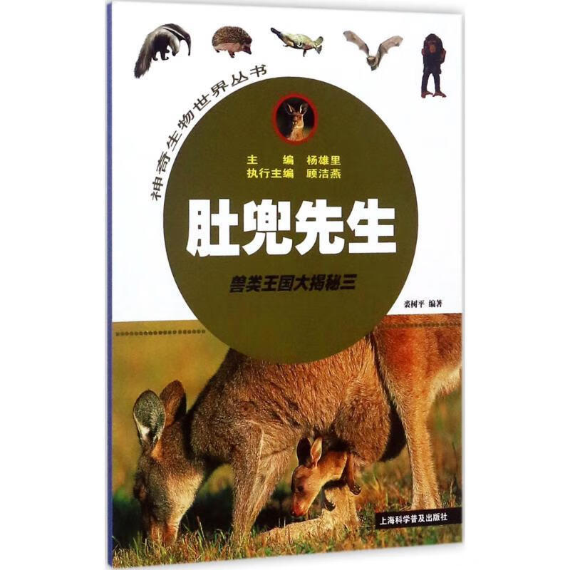 肚兜先生