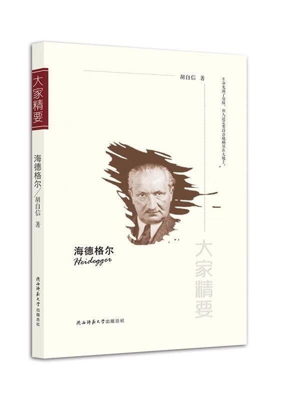 海德格尔 胡自信 著 陕西师范大学出版社 9787561373538正版