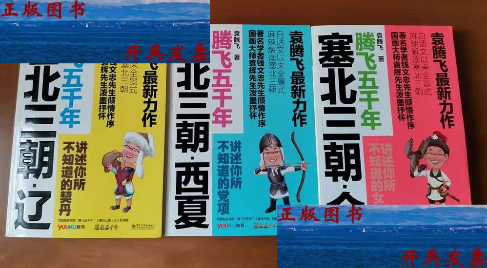 【二手9成新】塞北三朝(辽 西夏 金)全三册 辽 /袁腾飞 电子工业