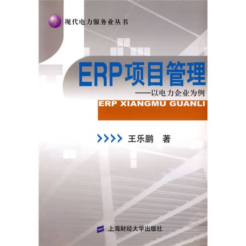 ERP项目管理）以电力企业为例【正版特惠】