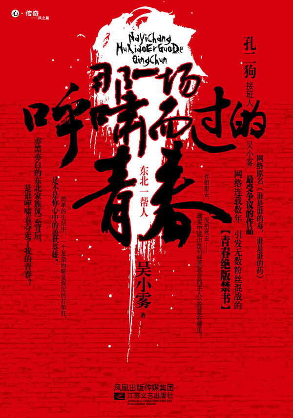 那一场呼啸而过的青春 吴小雾著【正版书】