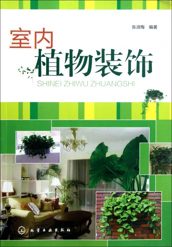 室内植物装饰