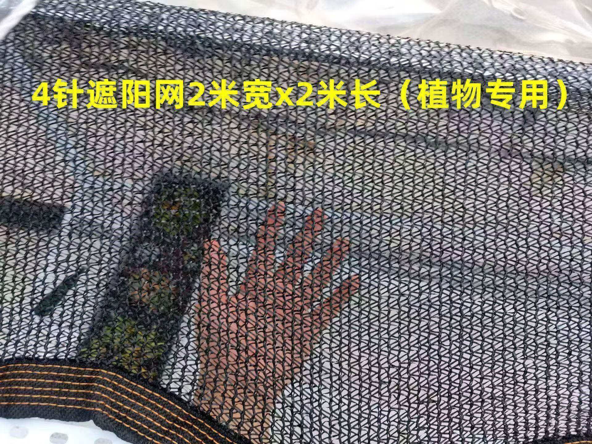 构想多肉植物遮阳网防晒网4针花卉家用隔热太阳网户外植物草遮阴遮光