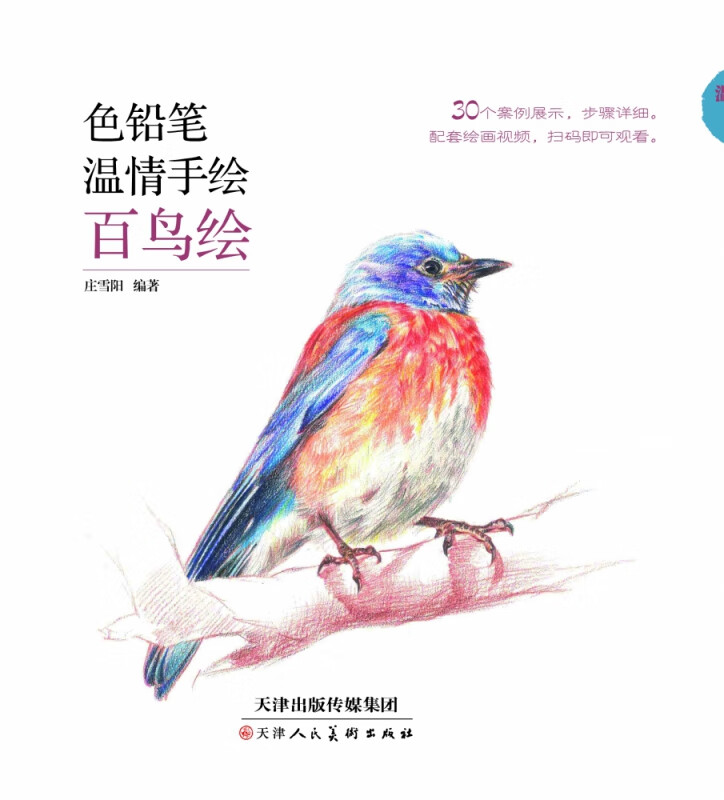 色铅笔温情手绘 百鸟绘
