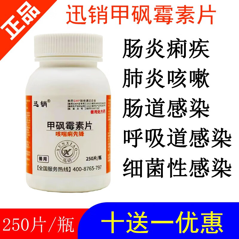 迅销兽用甲砜霉素片兽药鸡鸭猪畜禽肠道呼吸道感染大肠杆菌浆膜炎鸡药