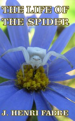 预订 The Life of the Spider