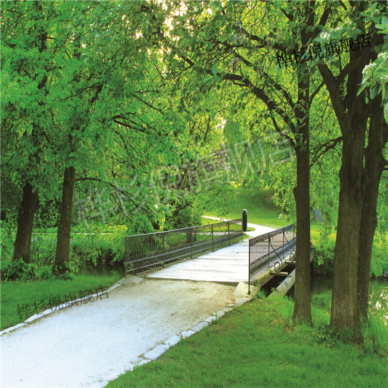 新款网红直播间主播装饰快手抖音背景墙外景山水风景3d背景布 乳白色