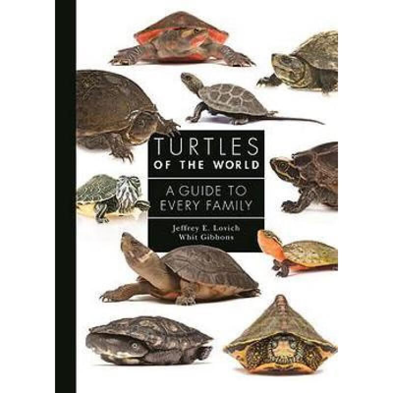 预订 Turtles of the World: A Guide to Every Family