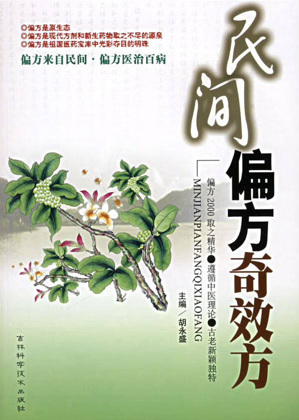 民间偏方奇效方 胡永盛 9787538434583 吉林科学技术出版社