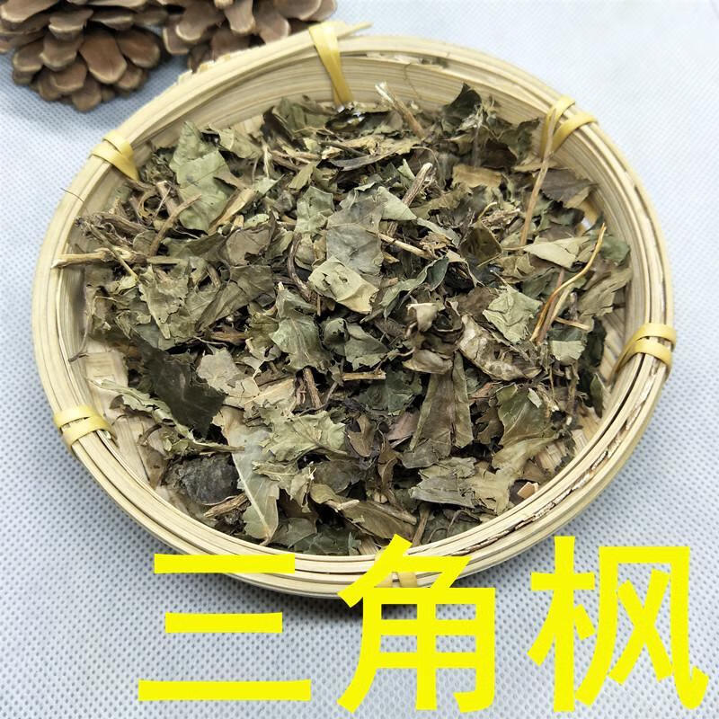 中药材 三角枫 500克 三角枫 三角槭 三角风 爬山虎 如图