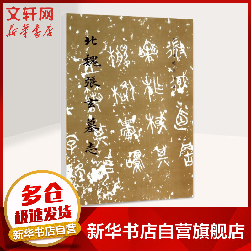 北魏张玄墓志/历代碑帖法书选 图书