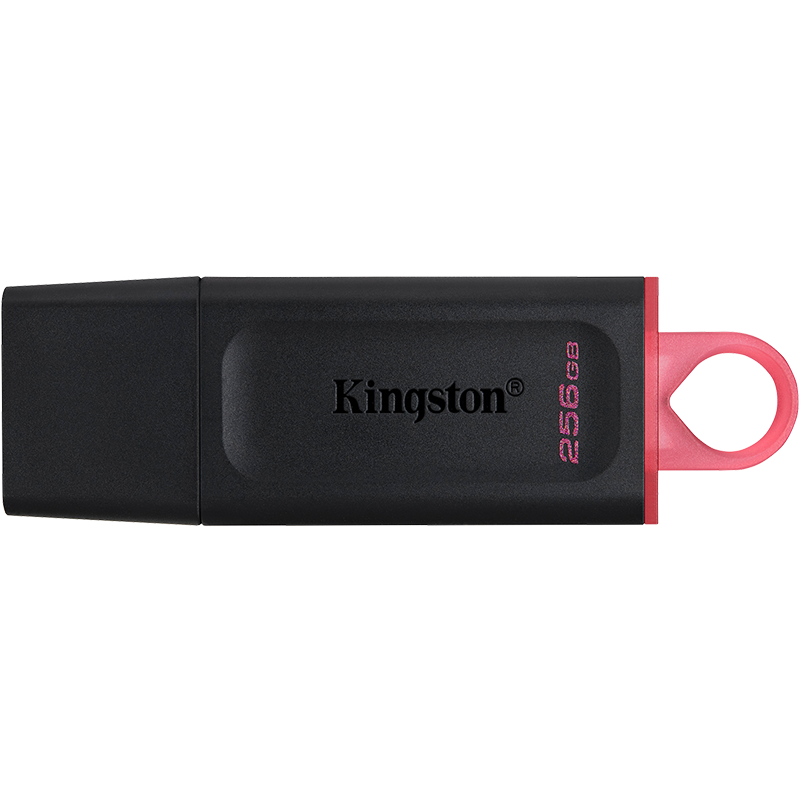 Kingston 金士顿 DataTraveler系列 DTX USB 3.2 U盘 黑色 256GB USB-A