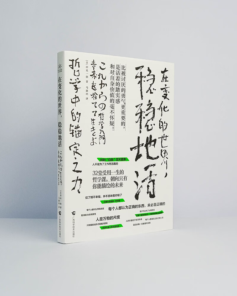 在变化的世界，稳稳地活：哲学中的锚定之力详情图