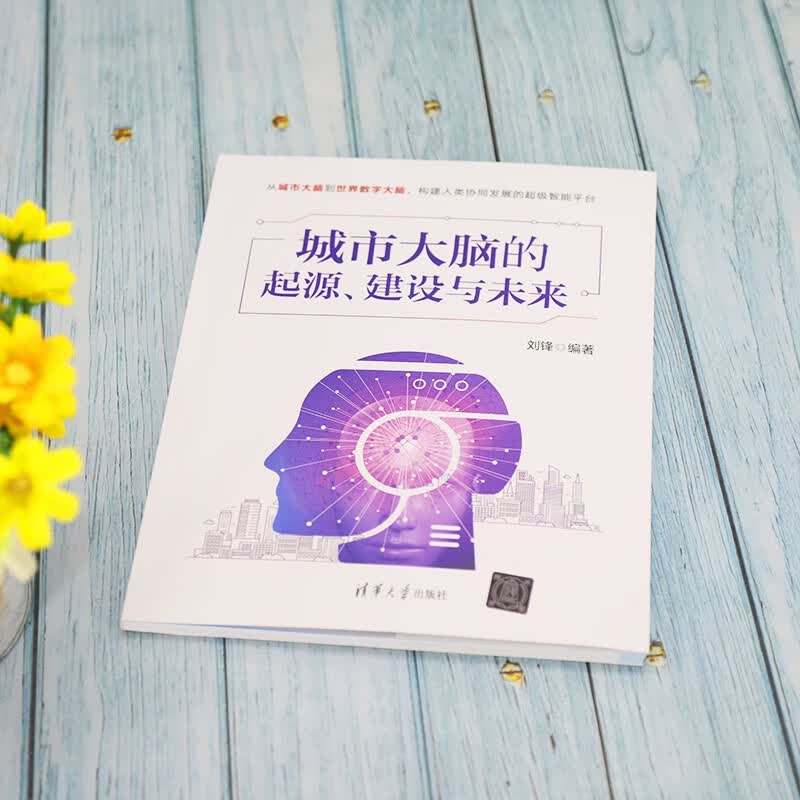 城市大脑的起源、建设与未来详情图