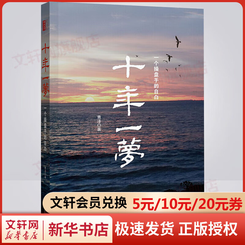 十年一梦 一个操盘手的自白